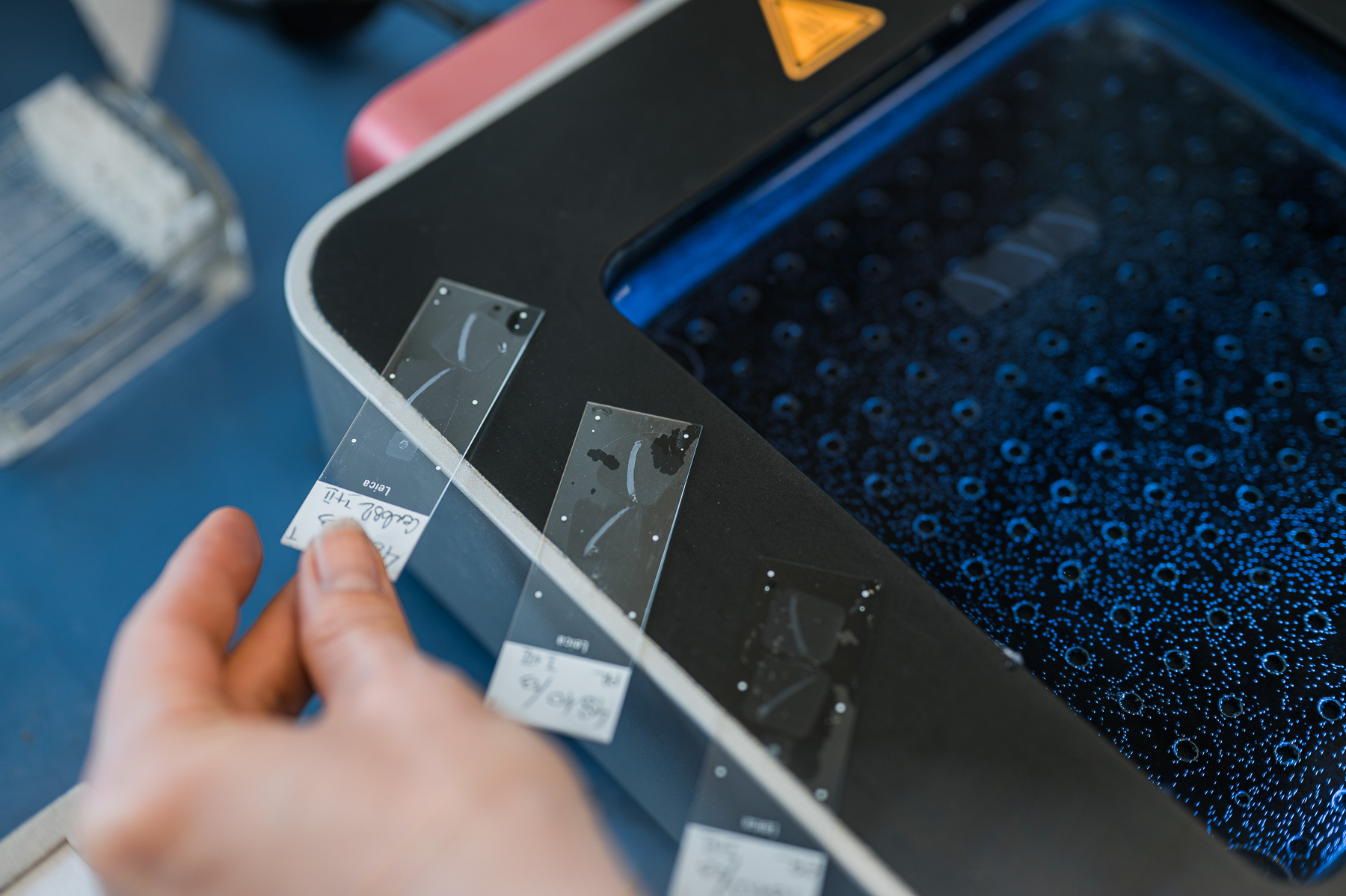 Pathologie-Spaichingen-2023-03-17-Auswahl-142